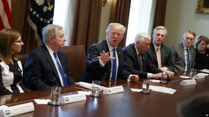 trump takimi